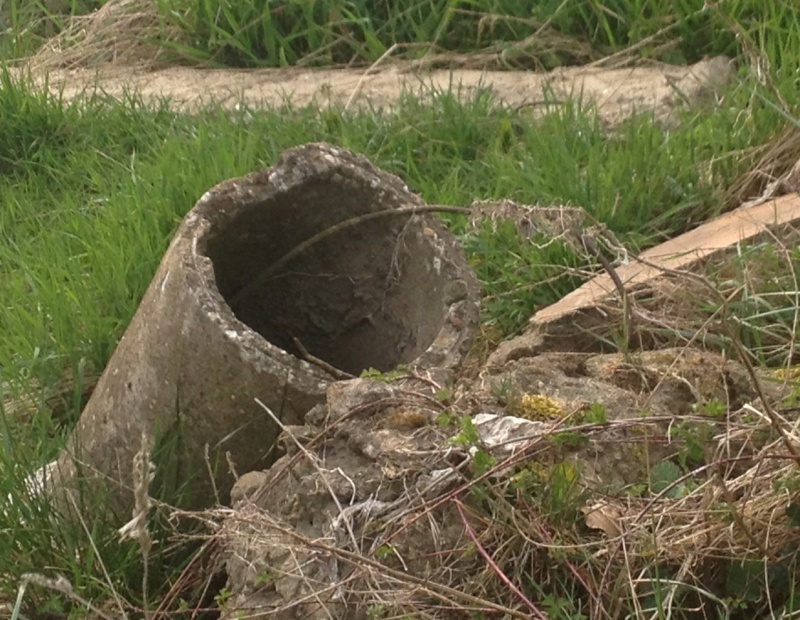 Moselle - DANGER sur les rives de la Moselle Downlo20