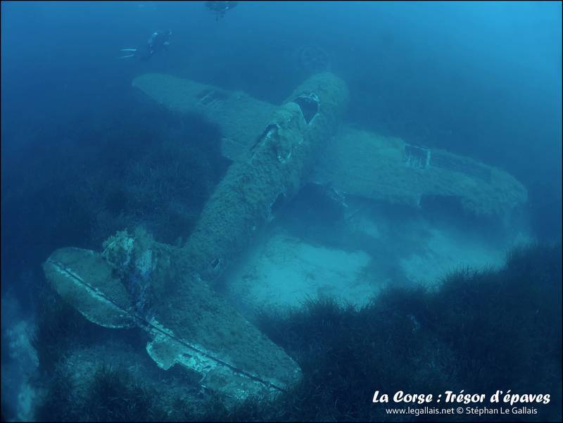 Plongée sur un P47 Thunderbolt au large de Moriani Img_8414