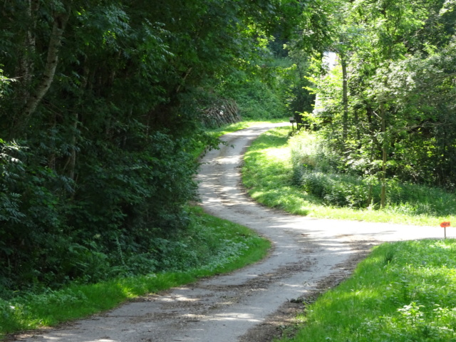 26 ème Moto Sauvage 6 et 7 juillet 2019 Dsc00611