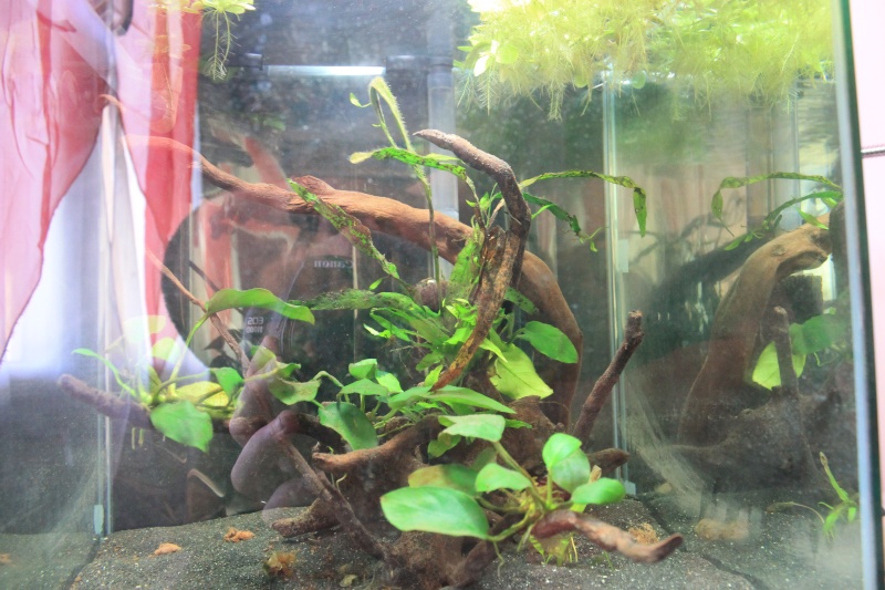 30L Full blue rili 06711