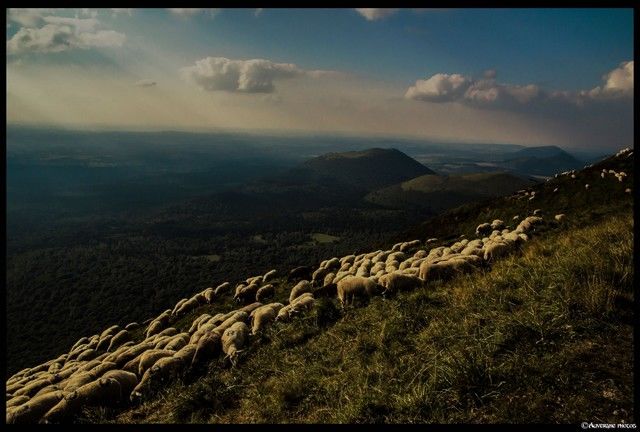 Auvergne - Page 11 12687610