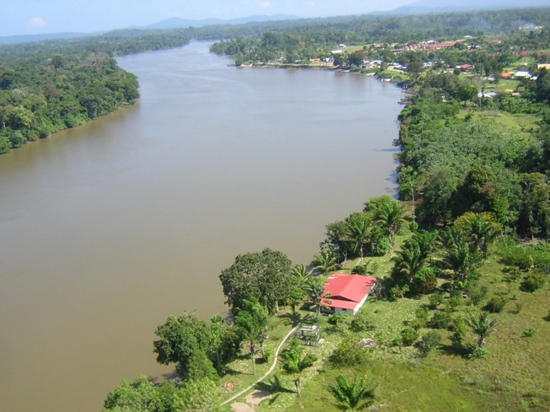 Concours photos de membres : vos plus beaux clichés. - Page 7 Guyane10