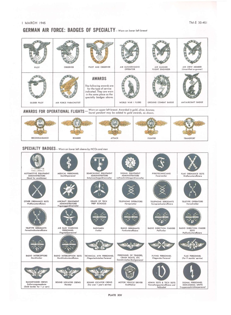 Insignes de spécialité/rang 30-45112