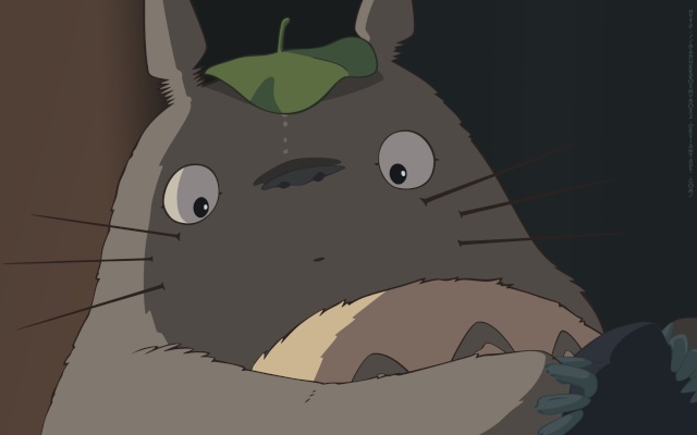 Pluie d'illustrations Totoro10