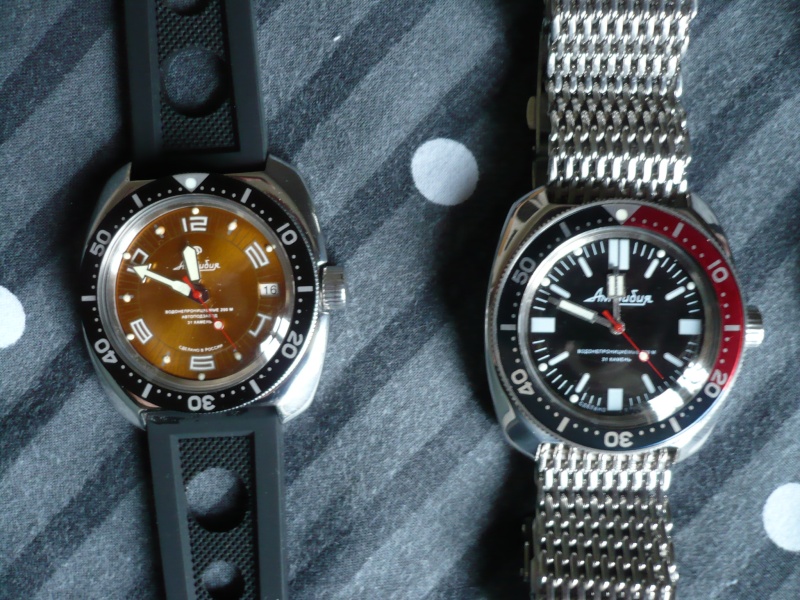 mon bezel custom Amphib10