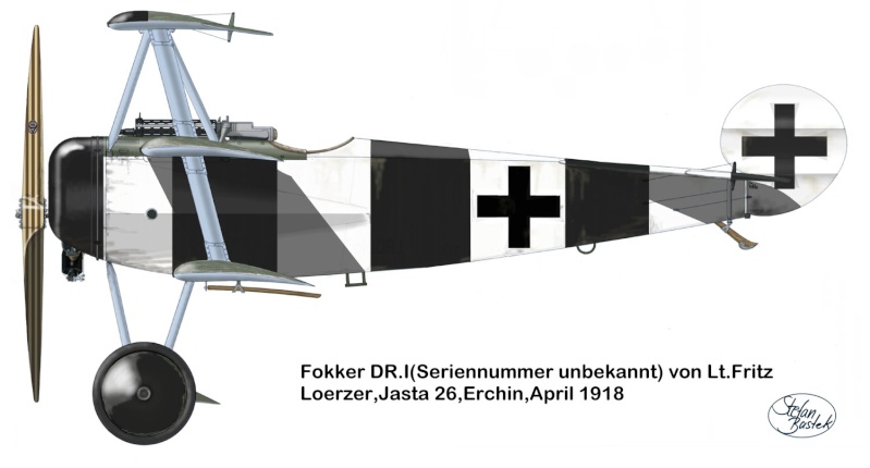 Fokker DR I - Eduard - 1/72 Dscn0122
