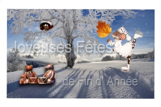 Explications sur les montages - Page 3 Montag11