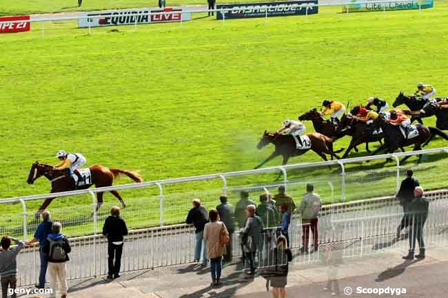 MAISONS-LAFFITTE R1 - MARDI 8/10/2013 Arriva20