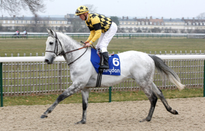photo - CAGNES sur MER R1 - QUINTE - LUNDI 20/01/2014 Tryst10