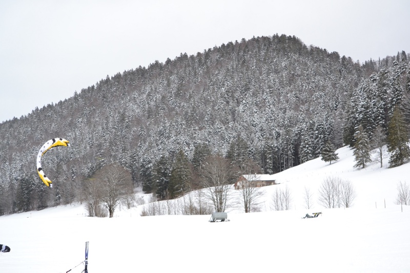 Des Gwada en Suisse Dsc_0025