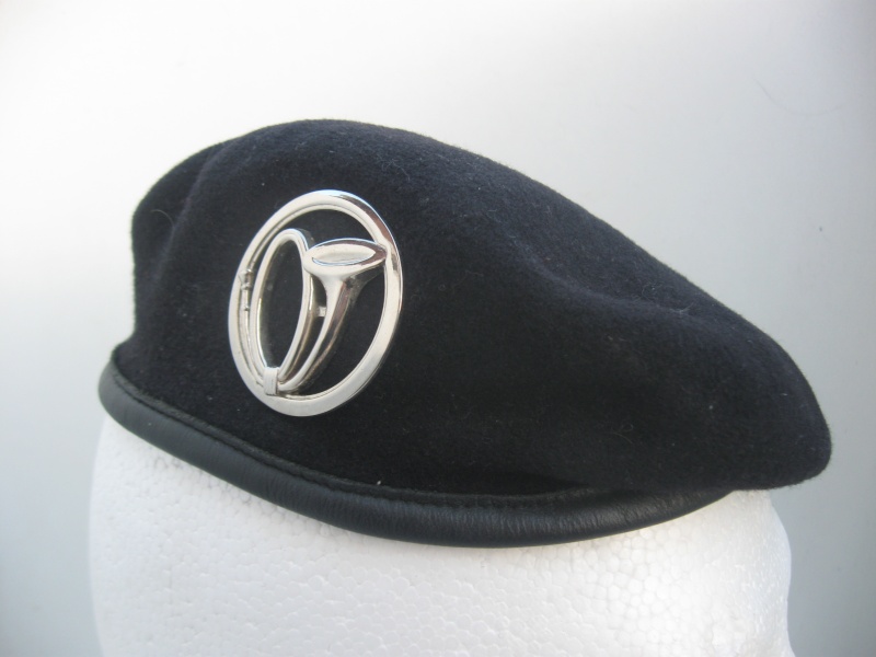 Les insignes de béret dans l'armée française Img_6724