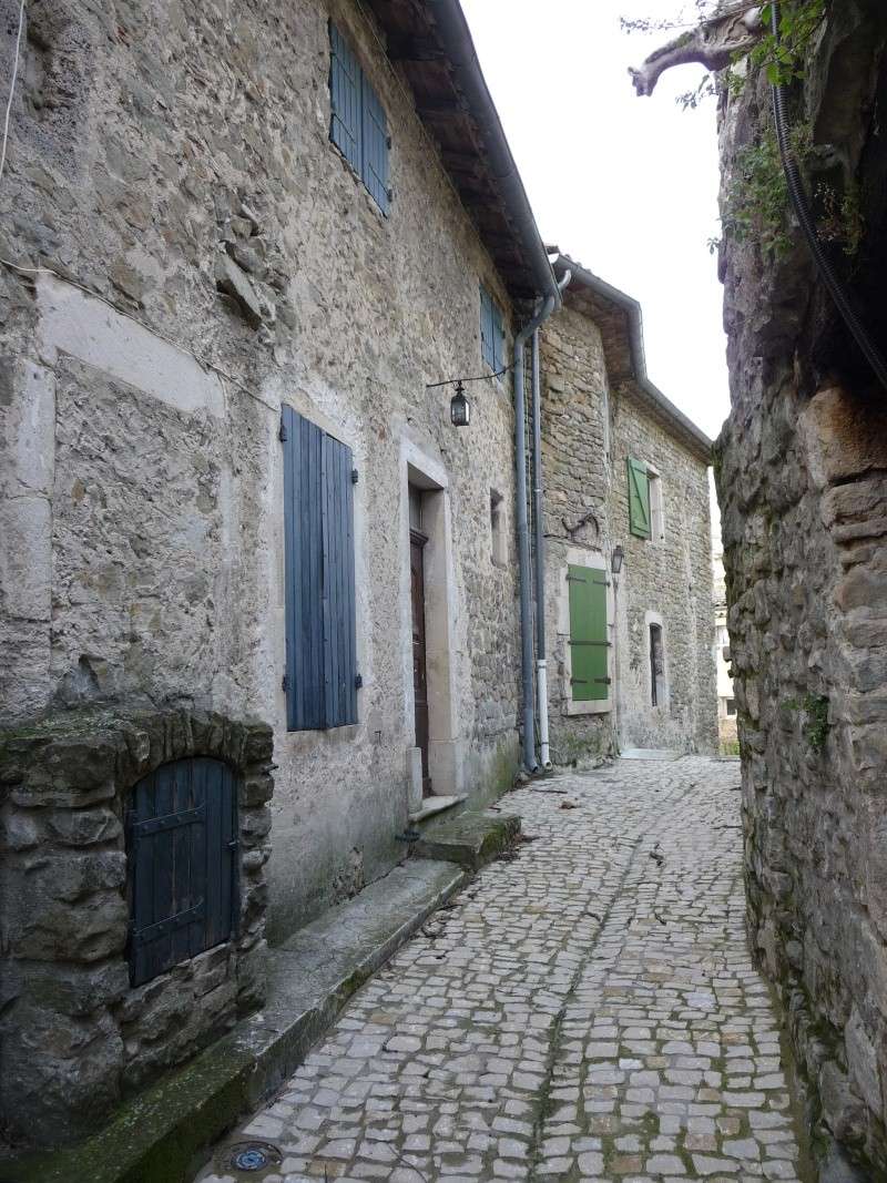 Châteauneuf-de-Mazenc P1130132