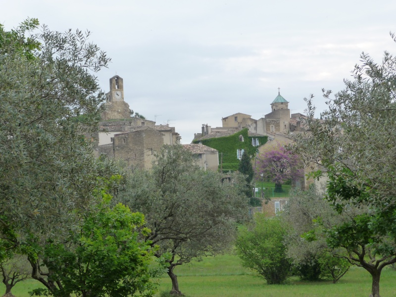 Lourmarin   P1130831