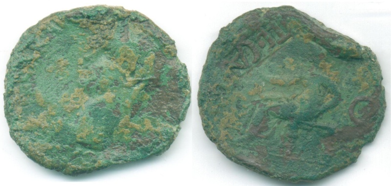 Bronze de Caligula avec contremarque de Claude Ier Avers_23