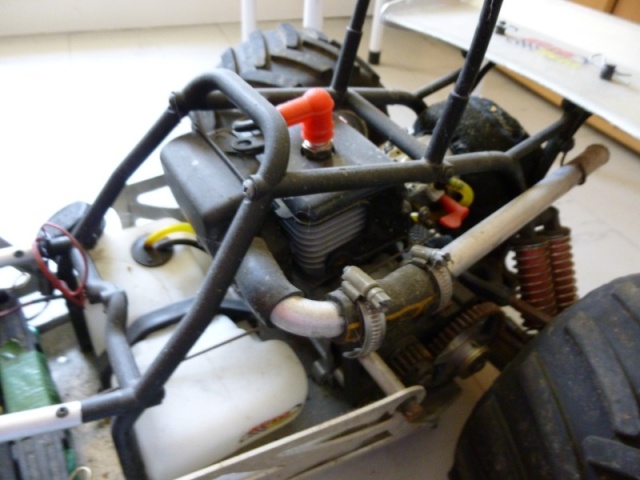 Monster Beetle Image230