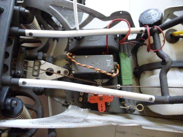 FG Monster Beetle 1/6 Image249