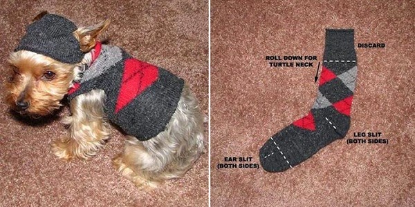 DIY Dog Sweater Diy-do10