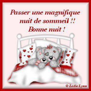 bonne nuit !!! - Page 41 Img_1111