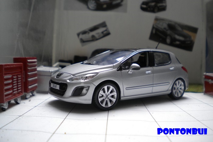 * 02 - Peugeot ¤ Dscn6314