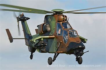 Plinking: Vos réalisations de cibles en tout genre sont les bienvenues. - Page 5 Tigre_10