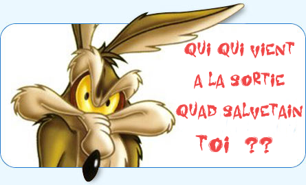 [Petite sortie  proxi salvetat] le 04 Mai 2014 Looney14