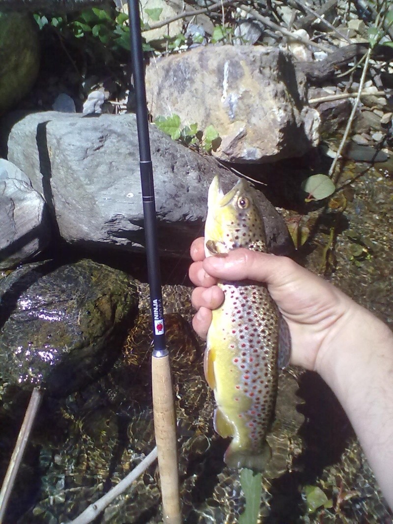 Votre pêche salmo d'Avril 15042010