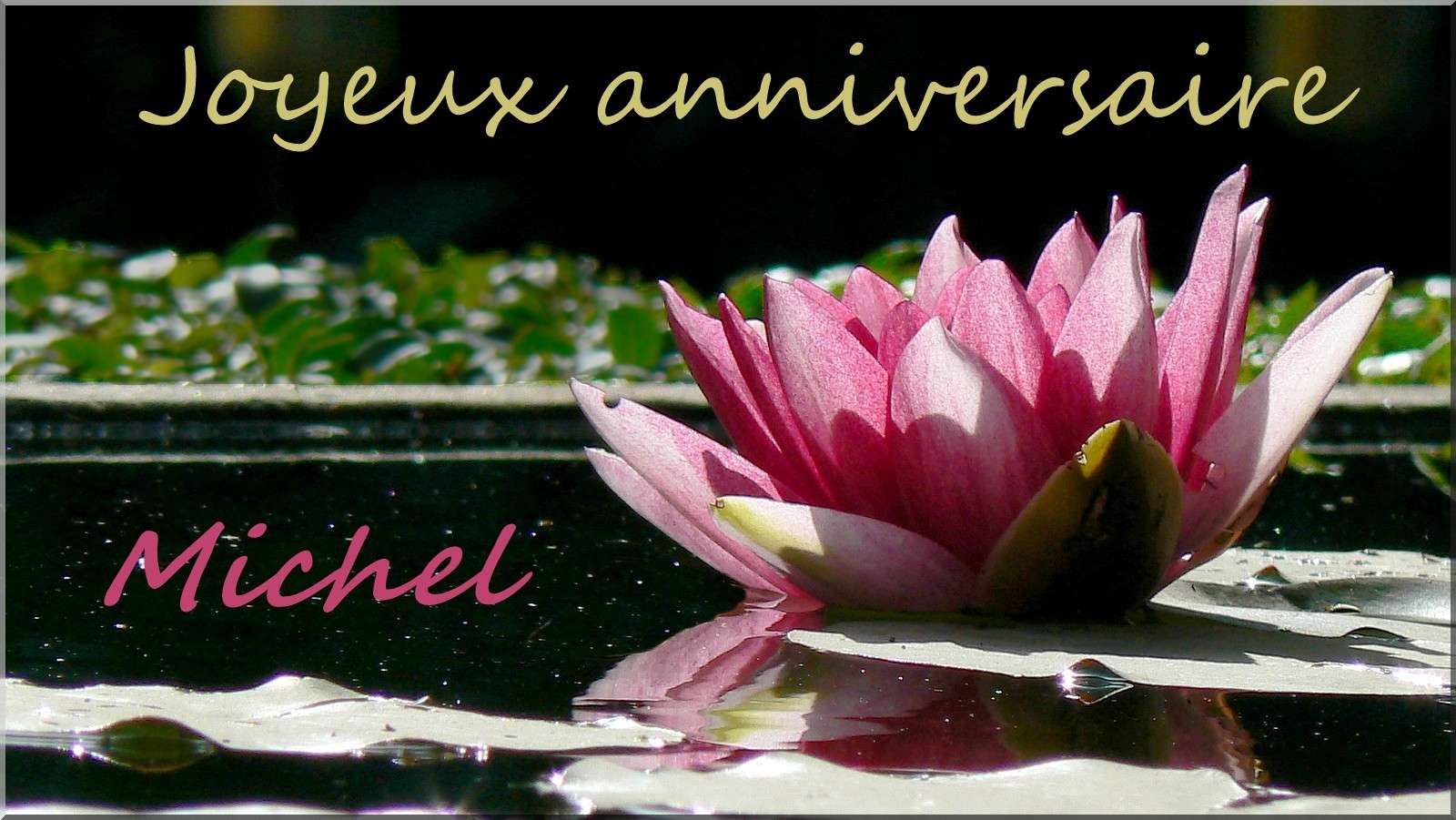 JOYEUX ANNIVERSAIRE MICHEL Annmic10