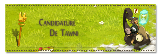 Candidature Tawni Sans_t12