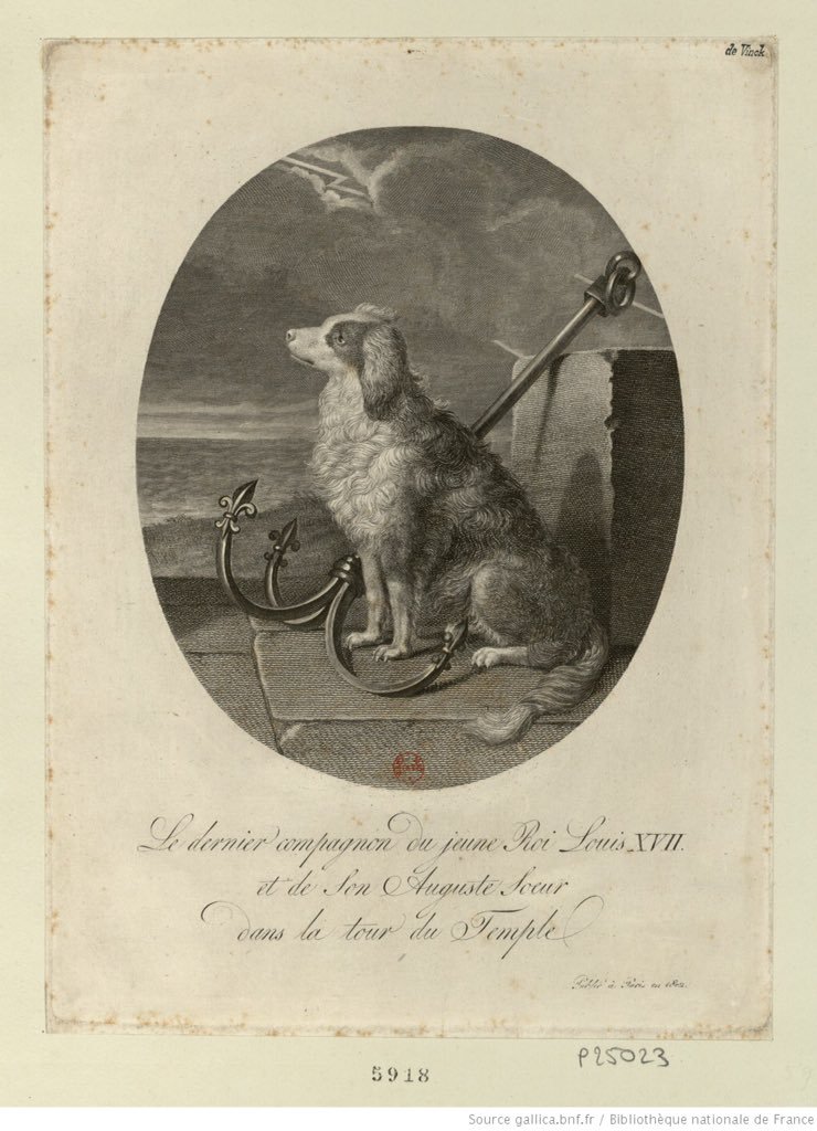 08 juin 1795: Coco, le chien de Louis XVII Dlh4by10