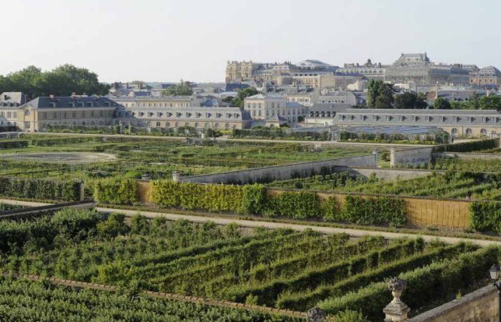 Un mécénat pour le Potager du Roi Photo-10