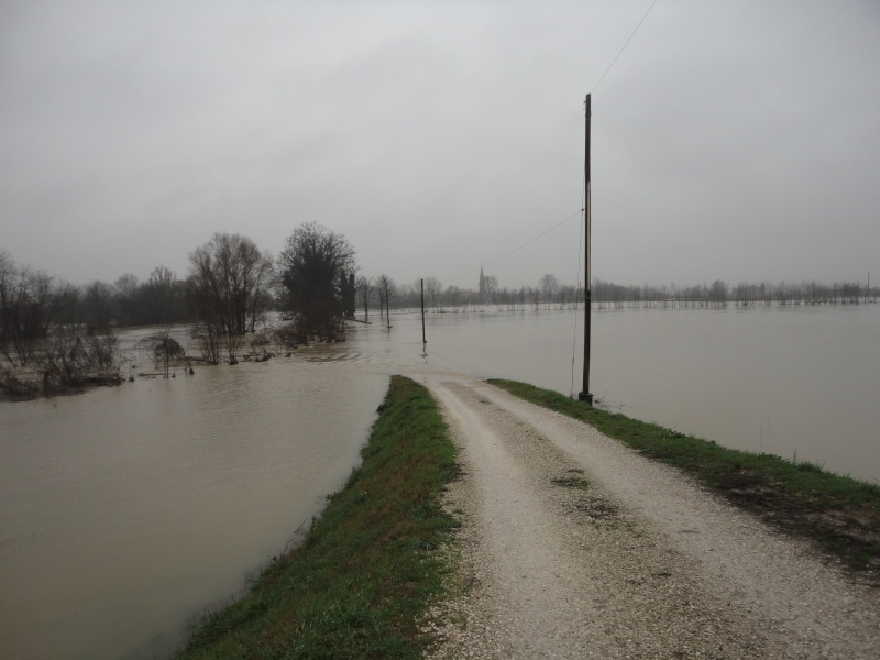 Alluvione a Padova Dsc01819