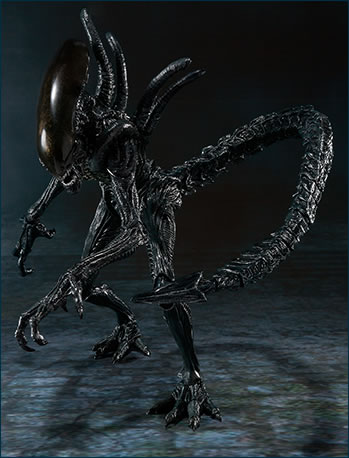 S.H. Monsterarts - Alien VS Predator - Alien Warrior 133