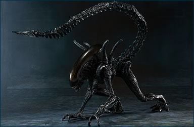 S.H. Monsterarts - Alien VS Predator - Alien Warrior 232