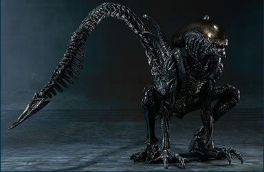 S.H. Monsterarts - Alien VS Predator - Alien Warrior 332