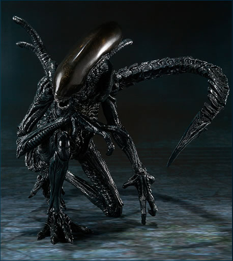 S.H. Monsterarts - Alien VS Predator - Alien Warrior 432