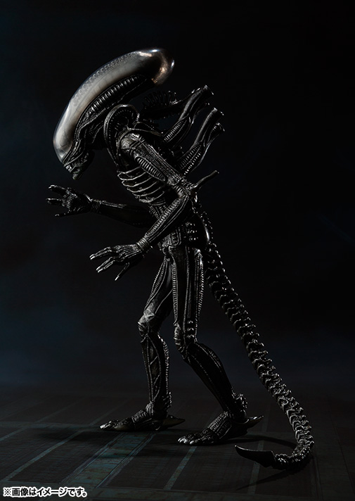 S.H. Monsterarts - Alien - Alien Big Chap 533