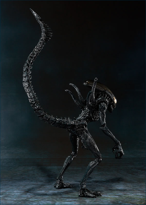 S.H. Monsterarts - Alien VS Predator - Alien Warrior 728