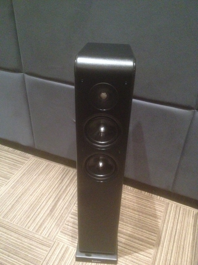 Audio Pro-Avanto FS-20 Speaker (New) Img_0417