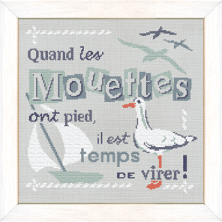 Sal LLP Quand les mouettes - Prochaine étape lundi prochain Ob_4bc11