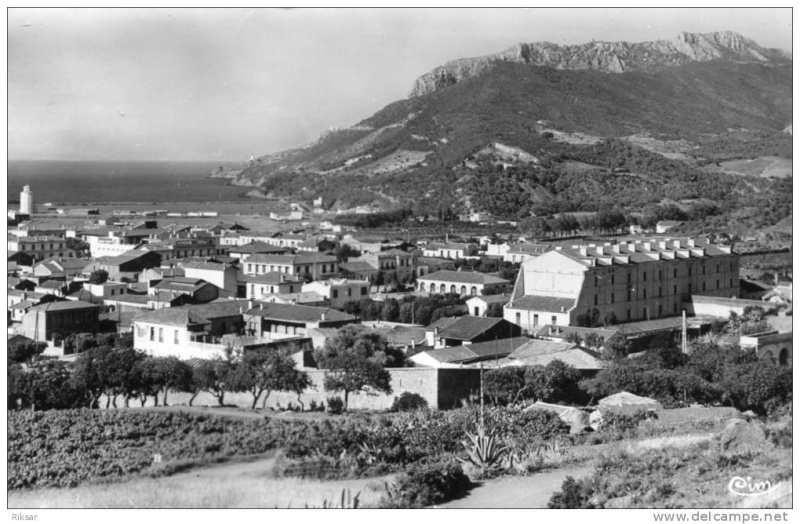 L'INSECURITE EN ALGERIE 1954-1962 313_0011