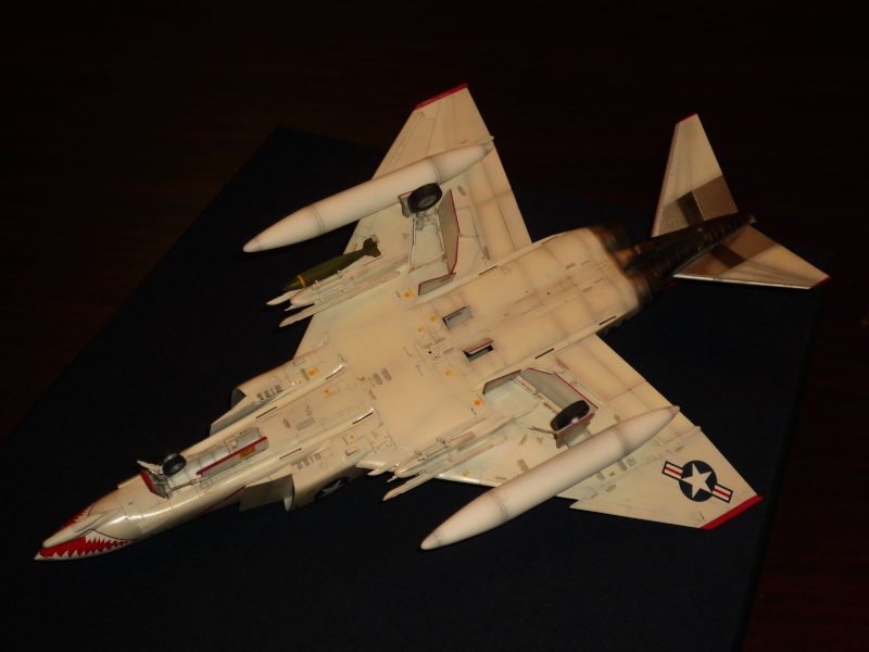 F-4B Phantom II "Sundowner" (Academy 1/48) - Page 2 P1080736
