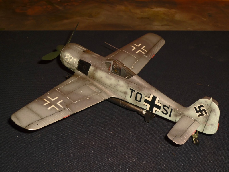 Focke-Wulf Fw190A-5 / U14 [Hasegawa] P1090031