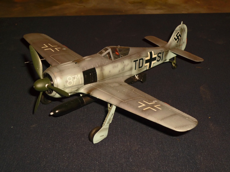 Focke-Wulf Fw190A-5 / U14 [Hasegawa] P1090032