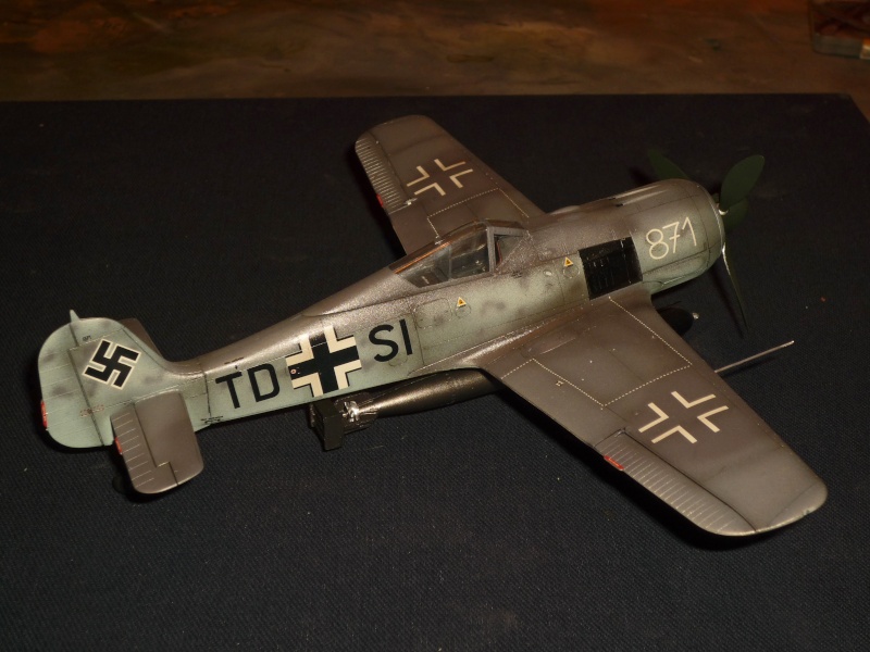Focke-Wulf Fw190A-5 / U14 [Hasegawa] P1090034