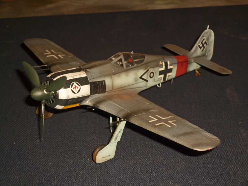 Focke-Wulf Fw190A-7 [Hasegawa] P1090036