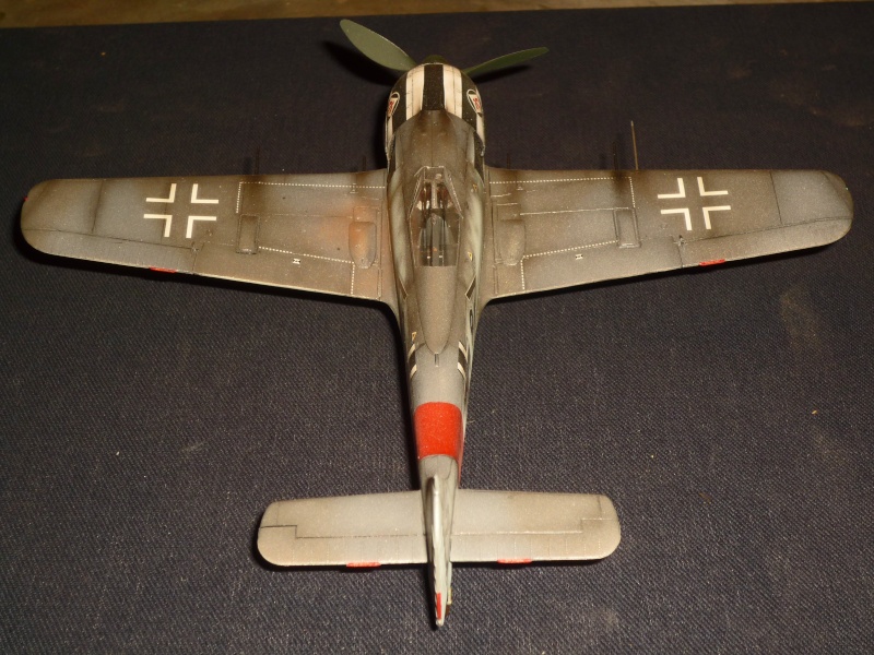 Focke-Wulf Fw190A-7 [Hasegawa] P1090037