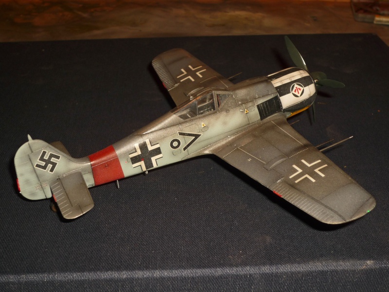 Focke-Wulf Fw190A-7 [Hasegawa] P1090038