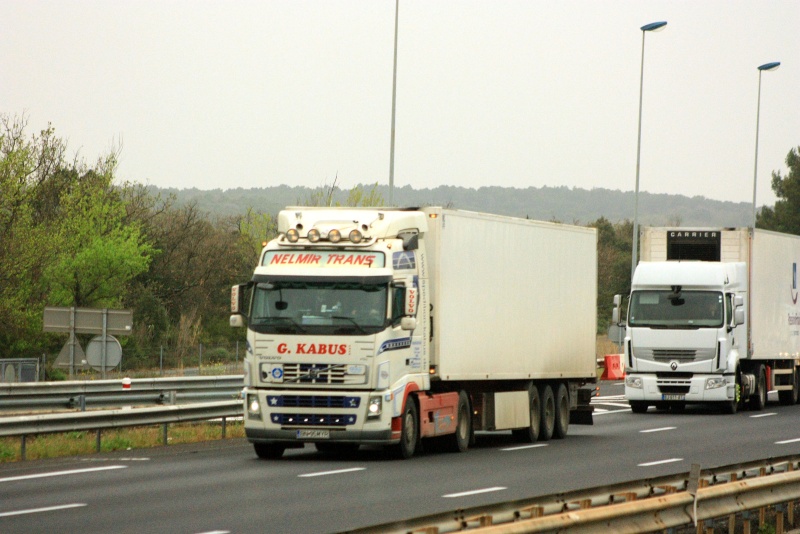 Nelmir Trans Img_0847