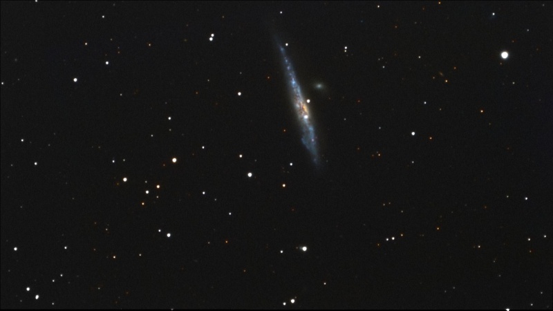 NGC4631 - La baleine Balein11