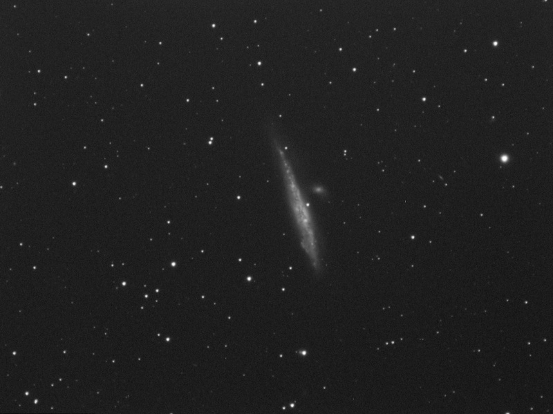 NGC4631 - La baleine Ngc46310